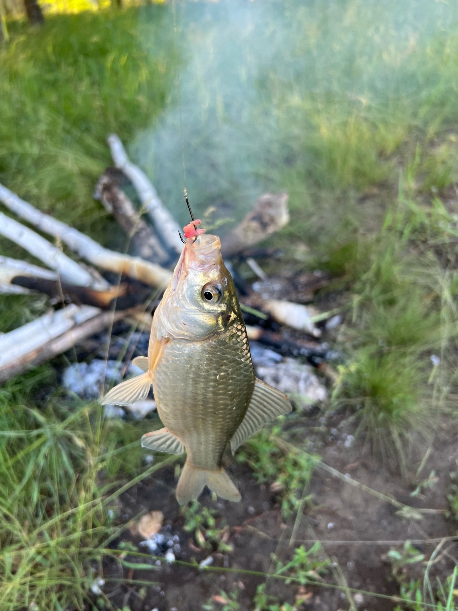5 ошибок рыбалки, которые вы совершаете и как их избежать - 2025
