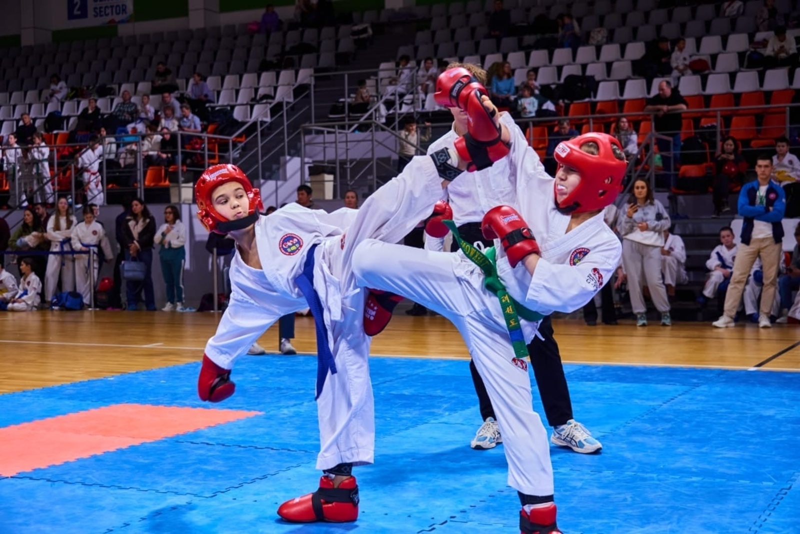 Краснокамцы собрали награды на Чемпионате и Первенстве республики по тхэквондо