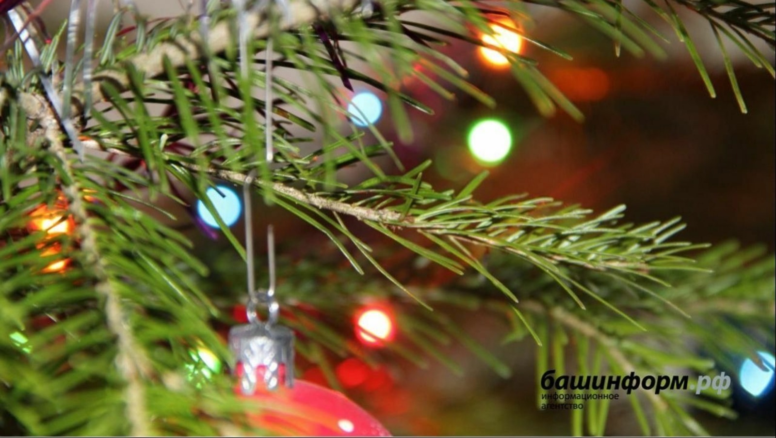 Как отдыхаем и работаем в новогодние праздники