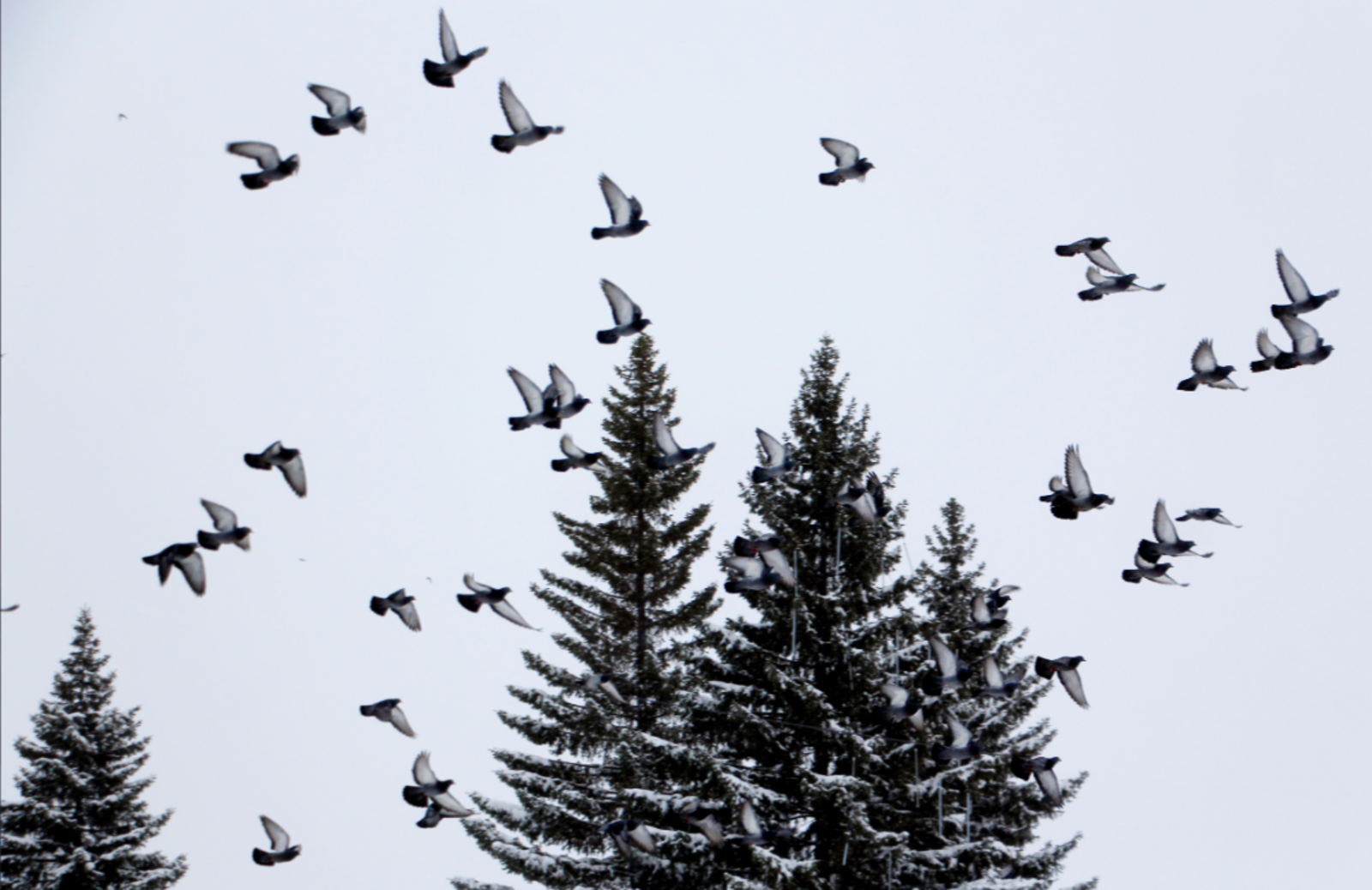 Гороскоп на 2 марта 2026: каким будет начало весны