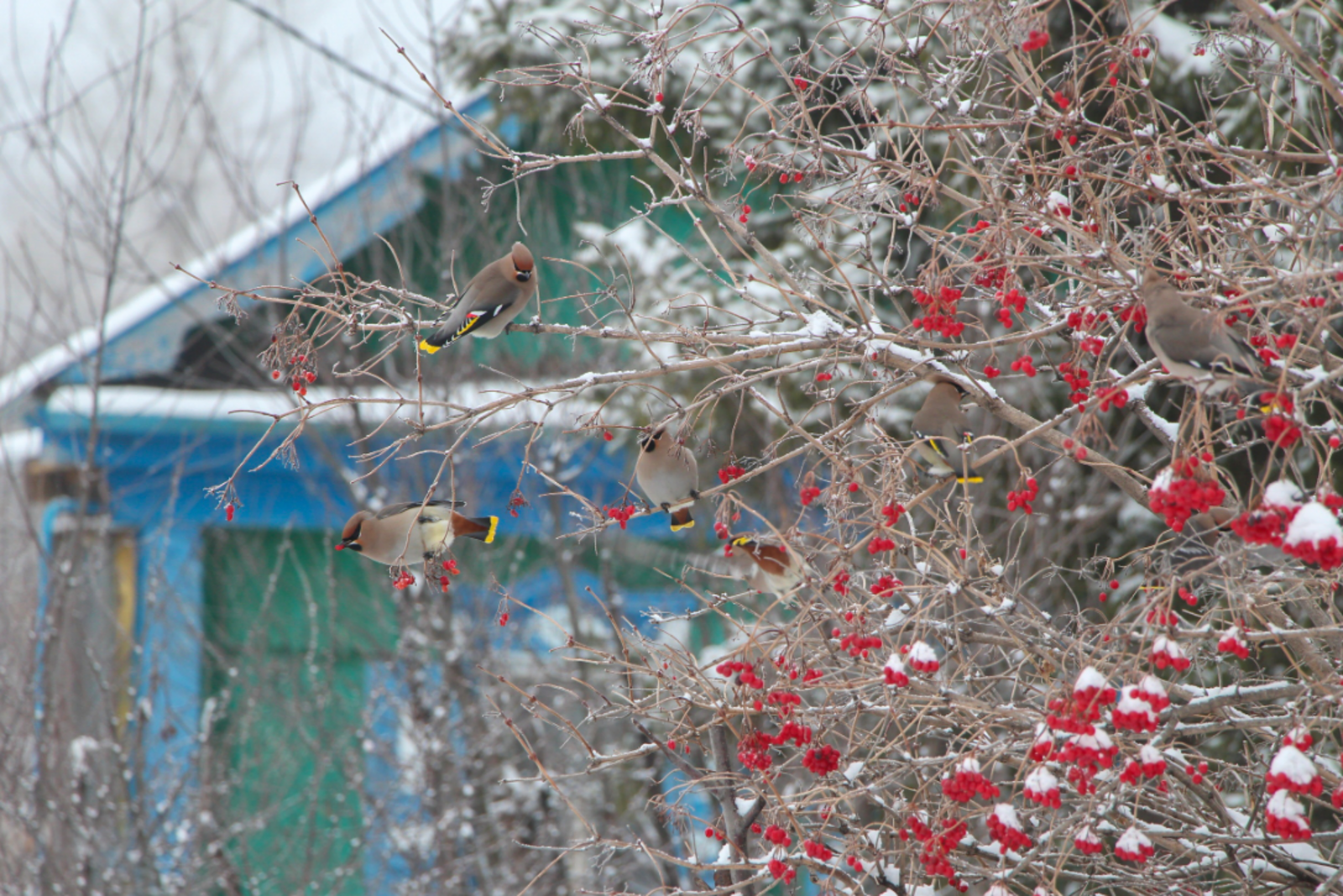 Рустам Ягафаров  Звездный прогноз на 12 февраля: путь к гармонии для всех знаков
