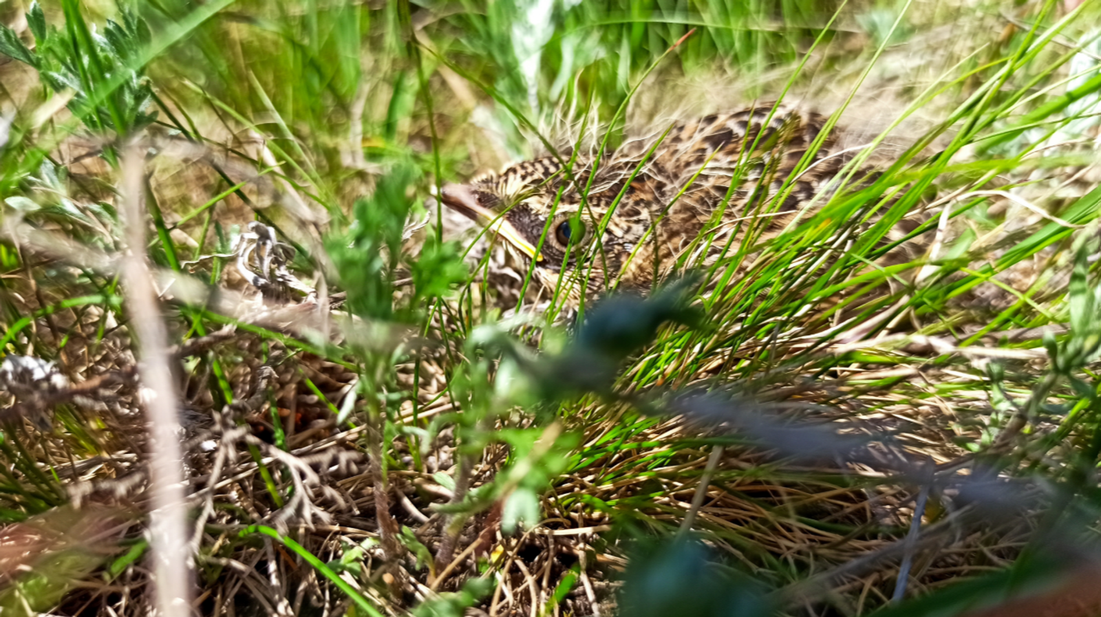 Гороскоп на 15 апреля 2026: 3 знакам зодиака придется сделать сложный выбор