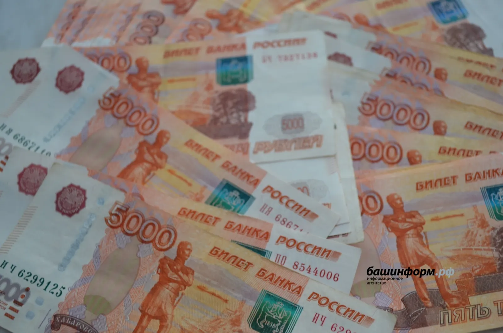 Житель Башкирии похитил у своей бабушки почти 2 млн рублей
