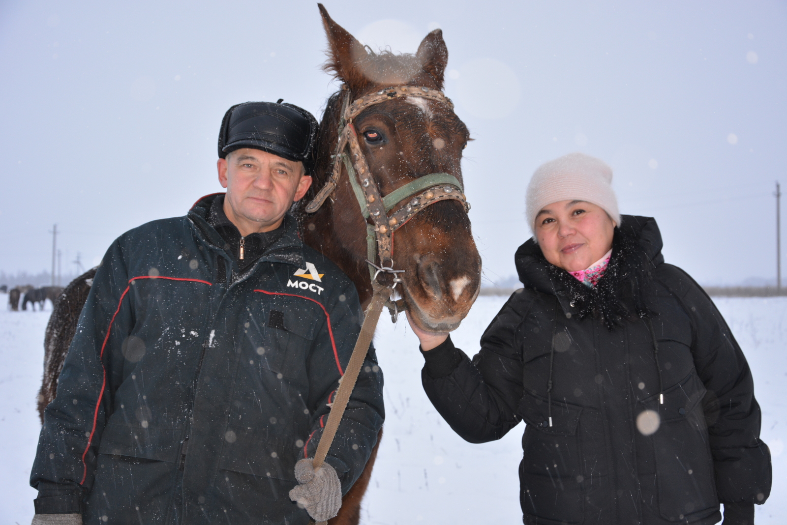 Фермеры Хамидуллины разводят лошадей башкирской породы